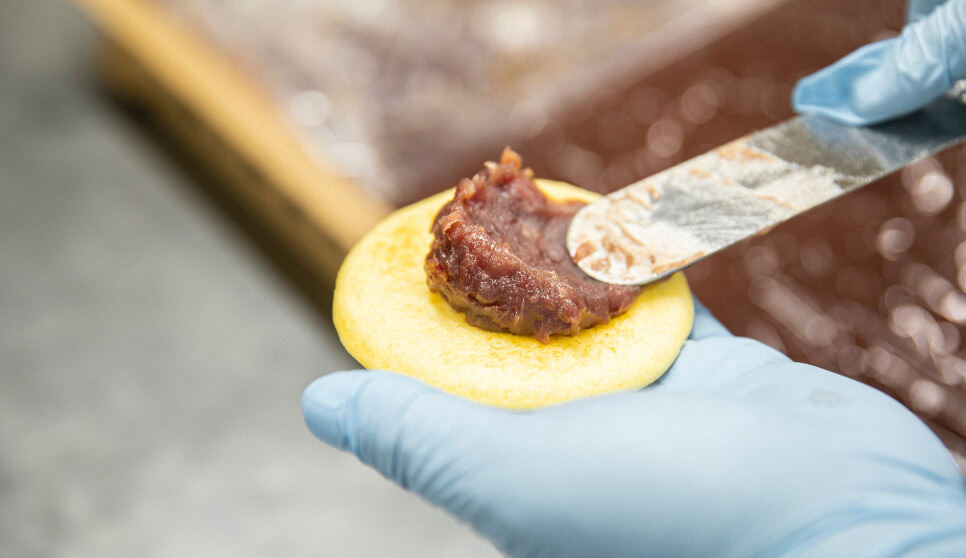 小豆の状態によって煮加減や甘さの調整をする