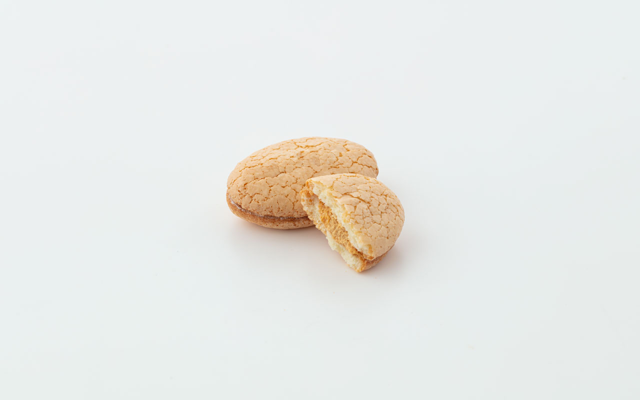 博多ひとしな